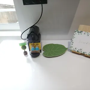 Cosy Appartamento